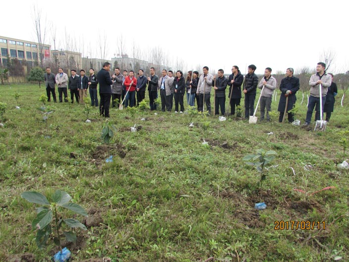 1xBET Signup(中国)-官方网站